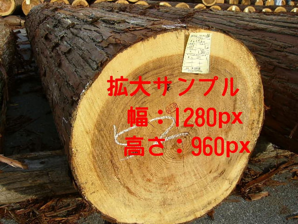 元の画像を2倍サイズに加工したものです。