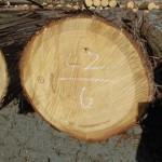 CIMG6558