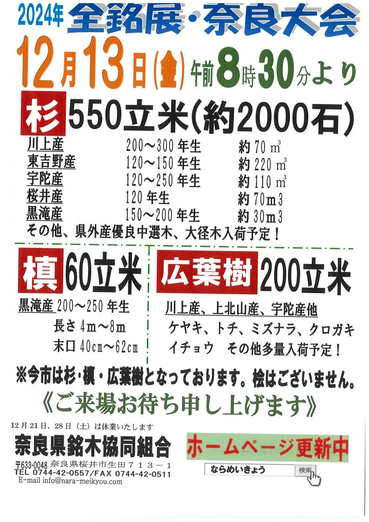 20241128155655-0001