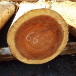 DSCF1121