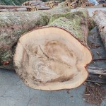 KIMG20251208_134748402